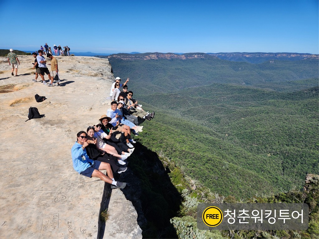 시드니 데이투어 