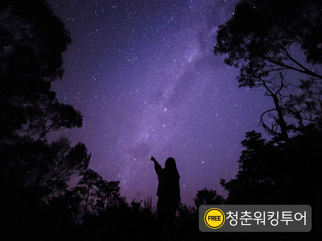 시드니 데이투어 